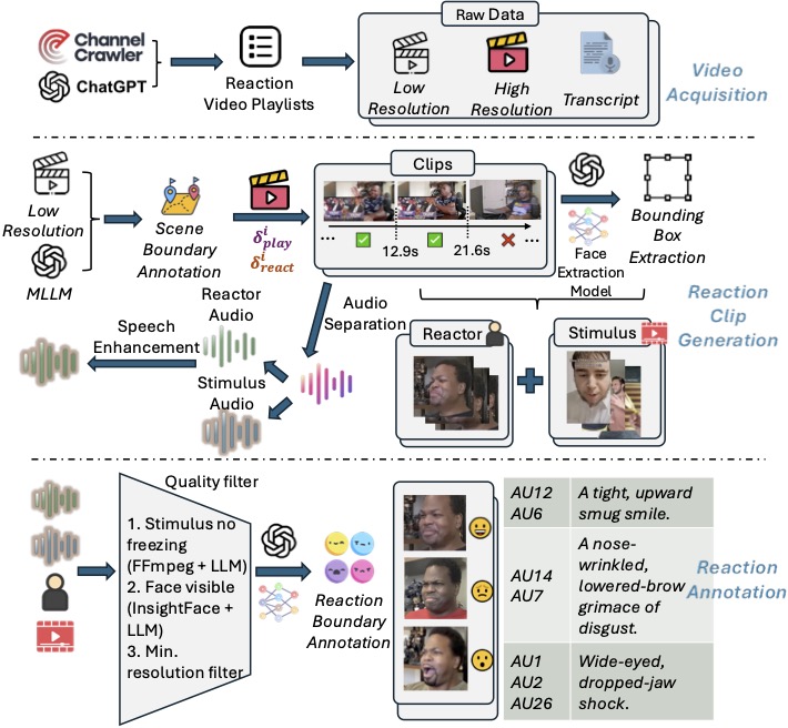 ReactionBench: Evaluating Models on Fine-Grained Human Reaction Understanding from Video Stimuli